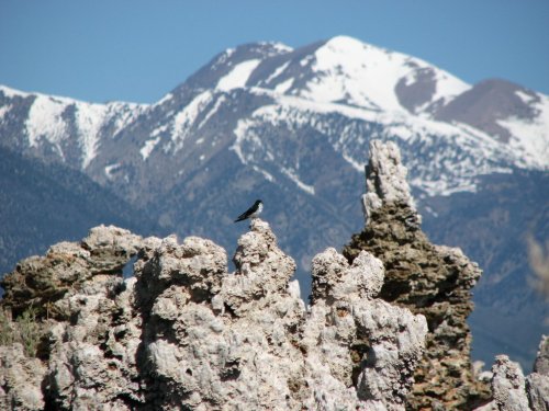 Mono Lake